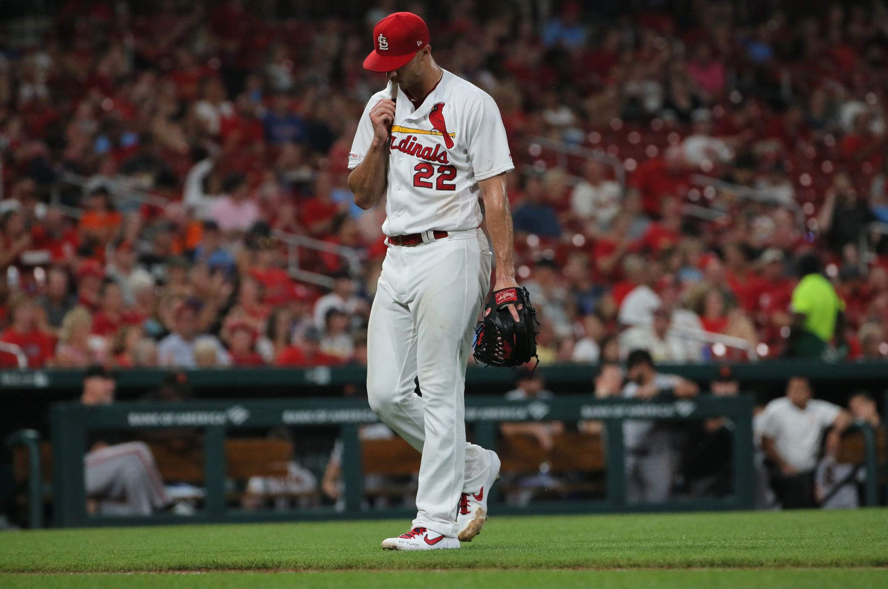 St. Louis Cardinals V San Francisco Giants